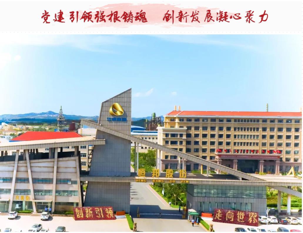 恒邦股份荣获2022年山东省质量标杆