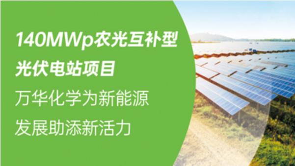 140MWp农光互补型光伏电站项目，万华化学为新能源发展助添新活力
