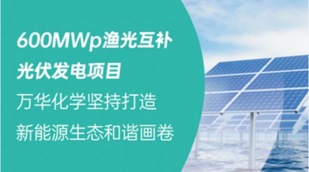 600MWp渔光互补光伏发电项目，万华化学坚持打造新能源生态和谐画卷
