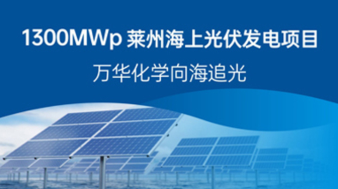 1300MWp莱州海上光伏发电项目，万华化学向海追光