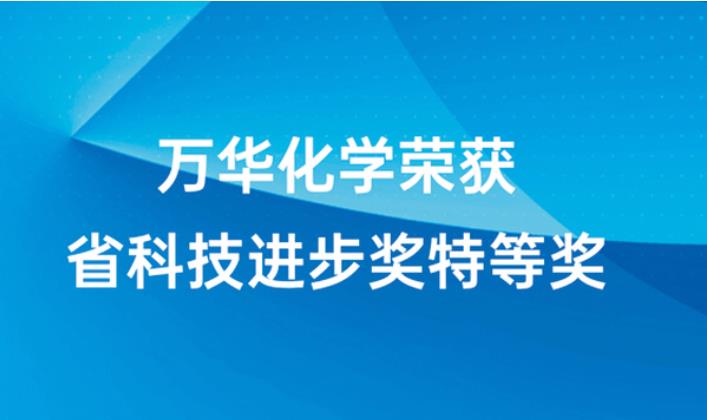 万华化学荣获省科技进步奖特等奖