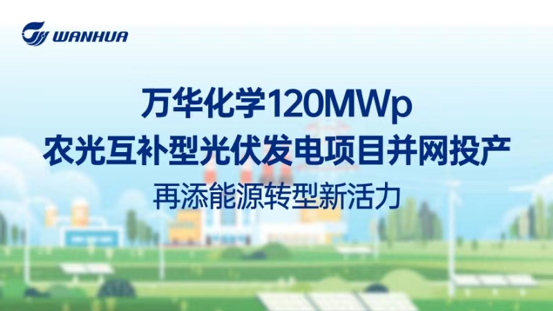 万华化学120MWp农光互补型光伏发电项目并网投产，再添能源转型新活力