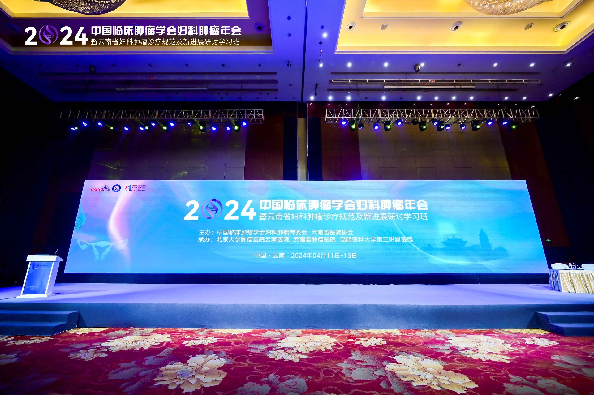 HER2表达复发性宫颈癌数据亮眼！维迪西妥单抗亮相2024 CSCO妇瘤年会