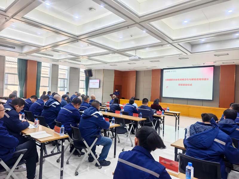 恒通股份战略规划与解码项目正式启动
