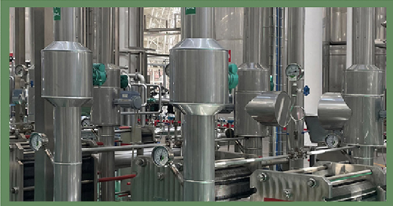 一图读懂丨张裕2024年度的“绿色答卷”