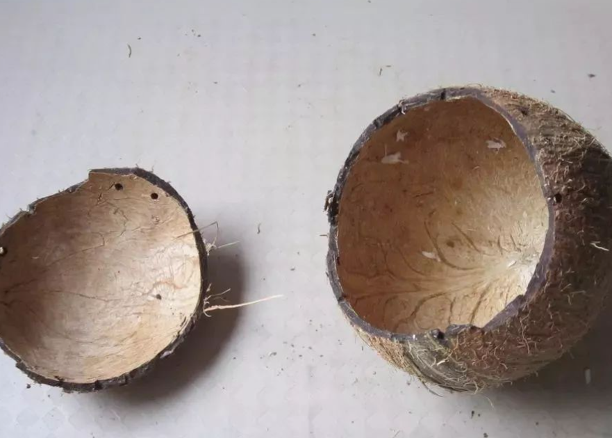 坤泰股份新突破：复合高分子椰壳炭技术，让簇绒地毯会“呼吸”！