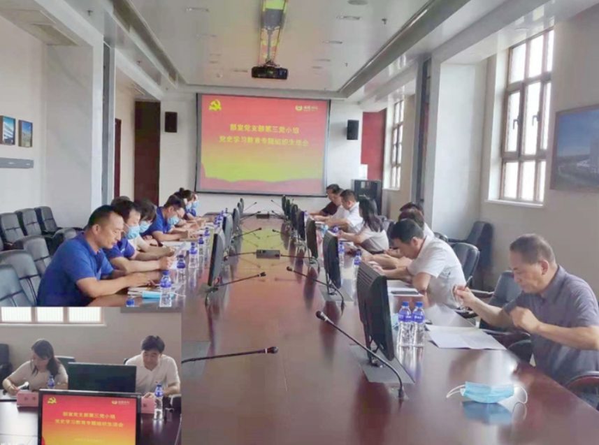 冰轮环境部室党支部召开党史学习教育专题组织生活会